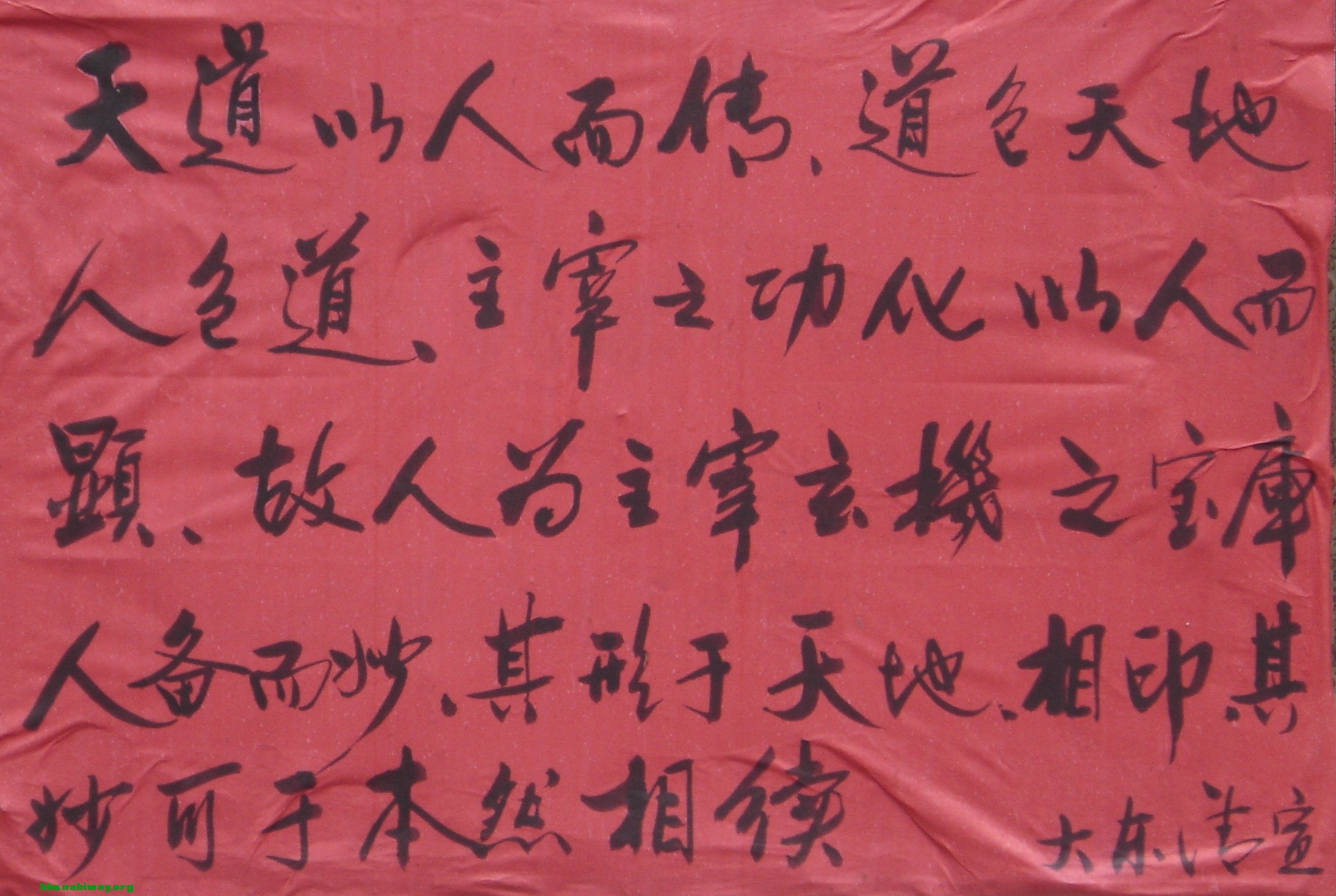 DSC00501.JPG
