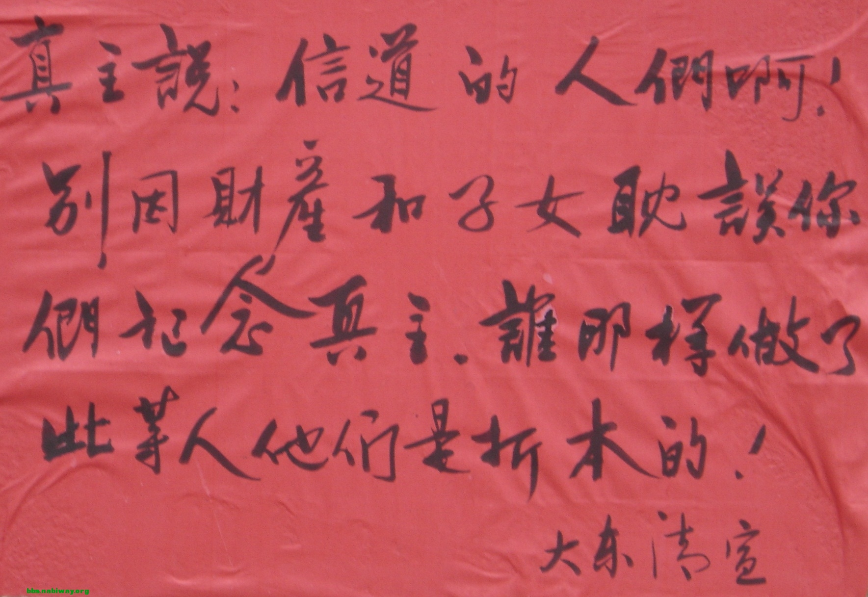 DSC00503.JPG