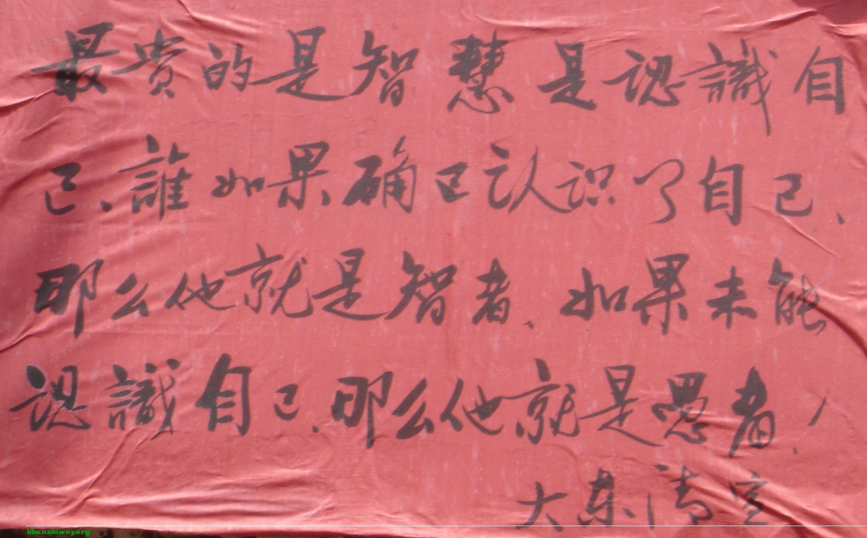 DSC00505.JPG