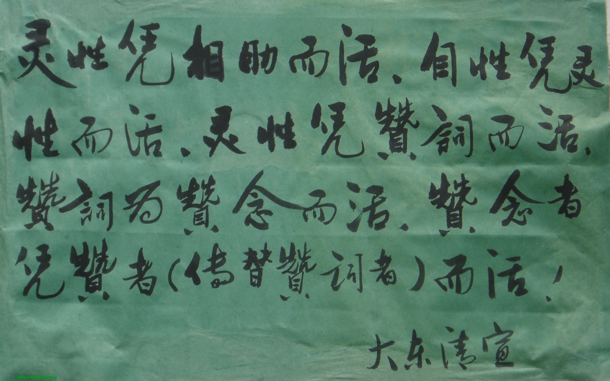 DSC00508.JPG