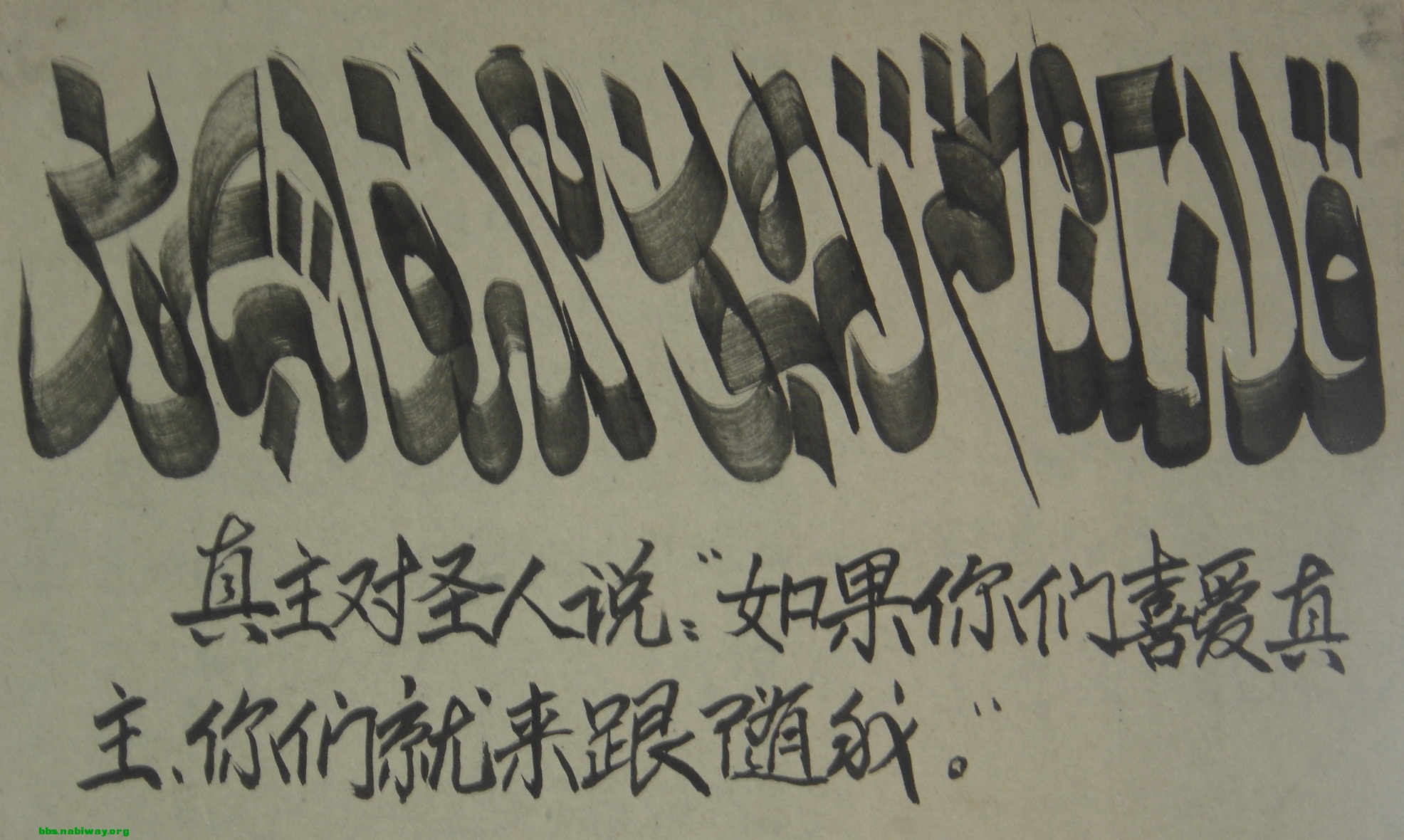 DSC00518.JPG