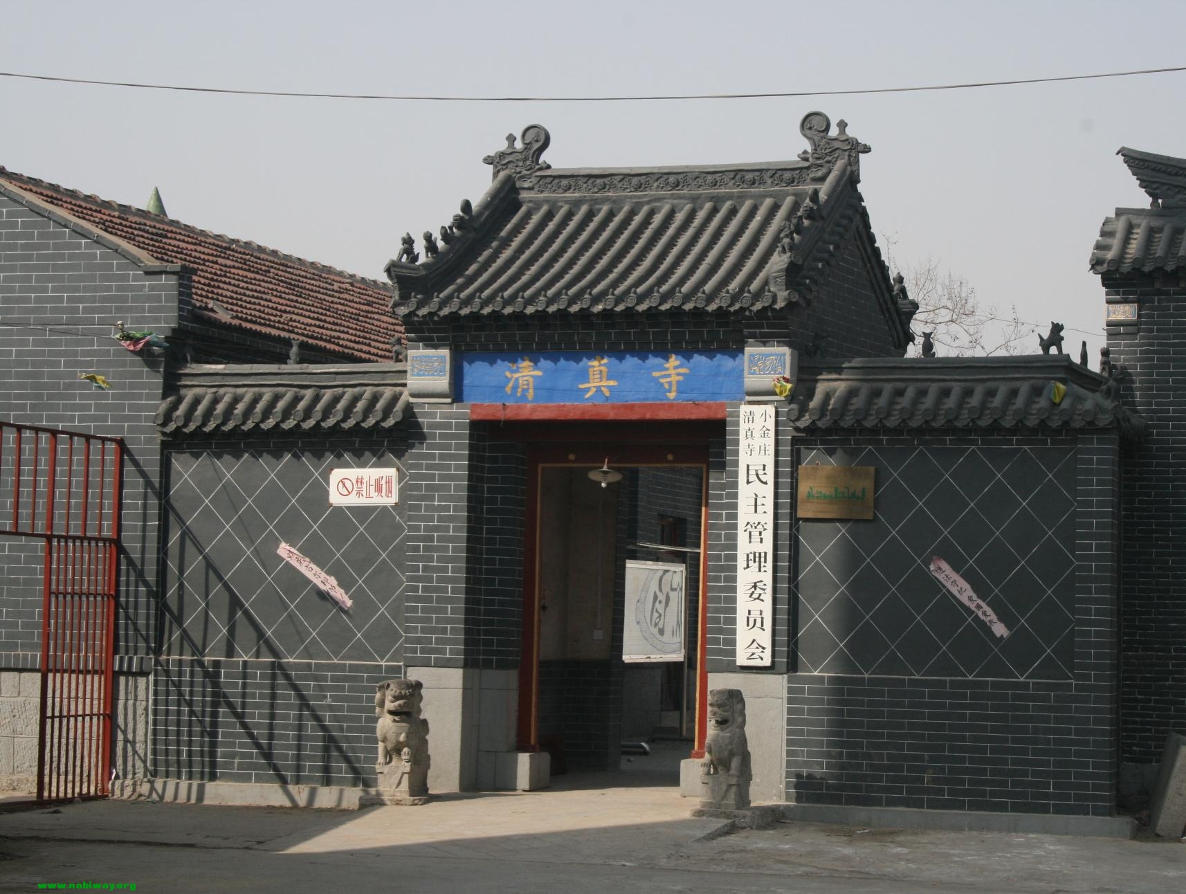 015_conew1.jpg