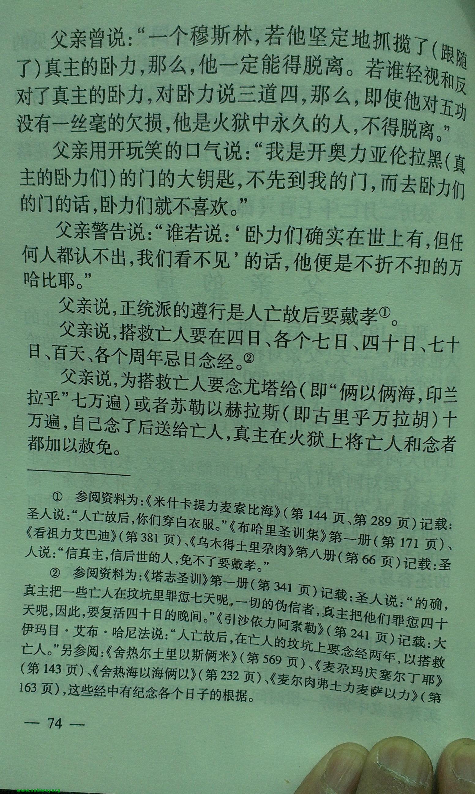 96.jpg