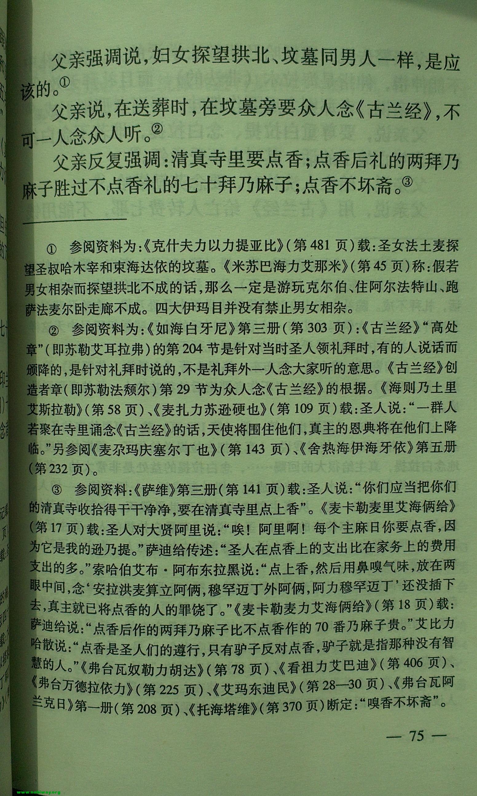 97.jpg