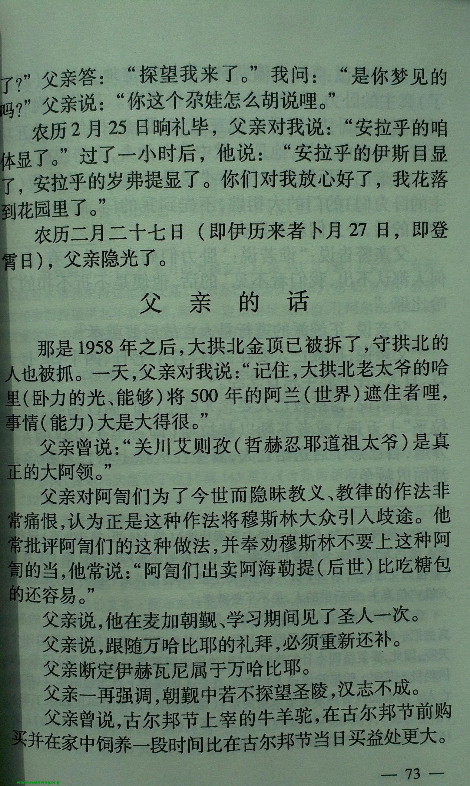 95.jpg