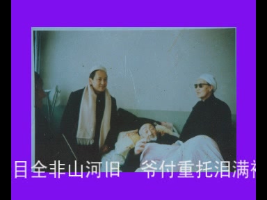 〔转载〕一个西吉人从《沙沟草诗》里找的单子