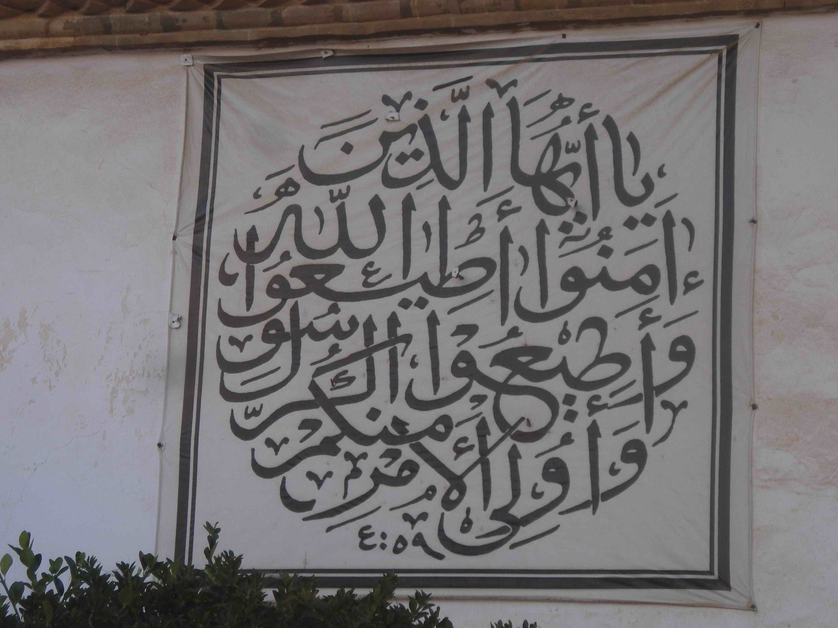 DSCN5088.jpg