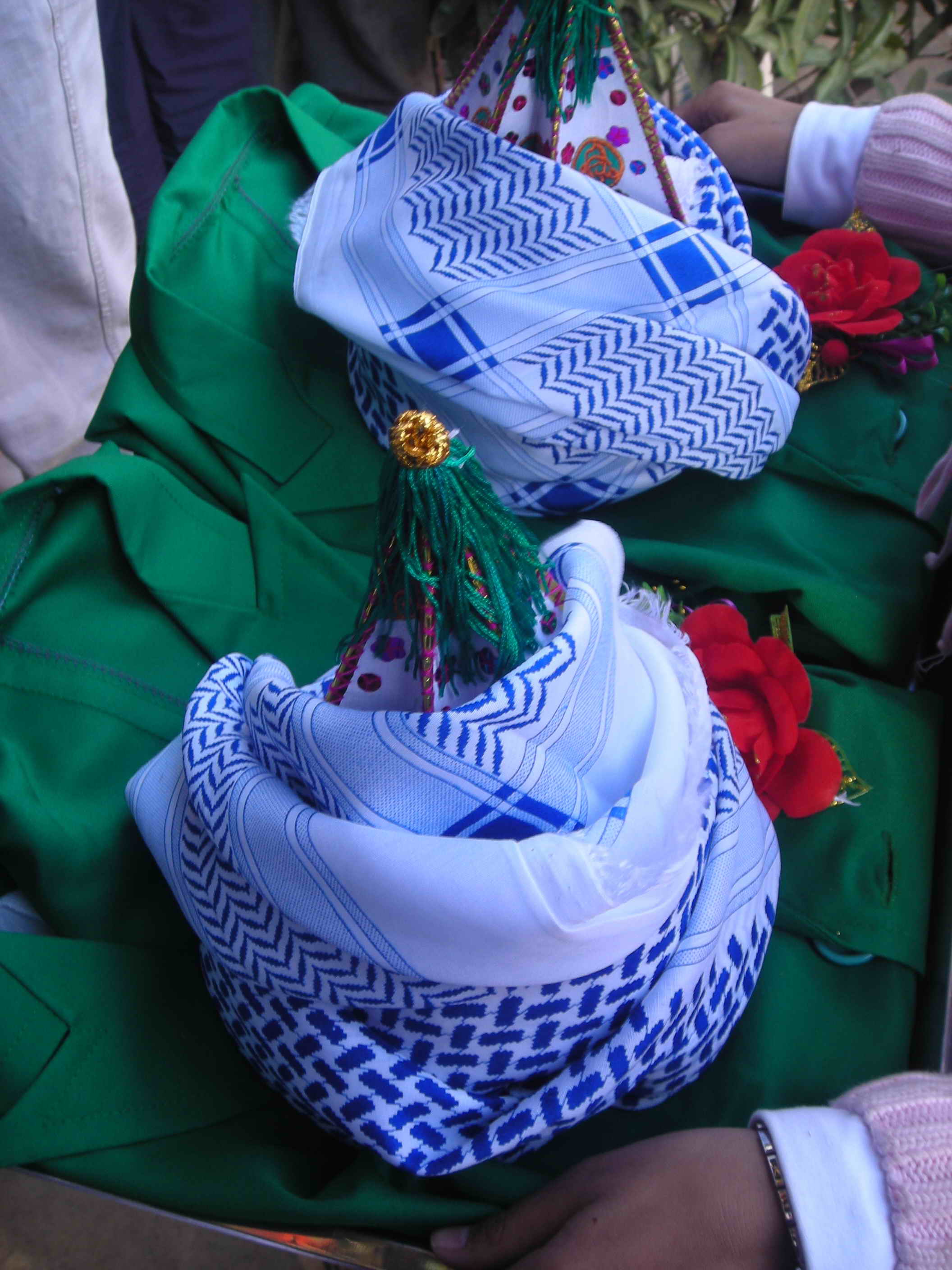 DSCN5179.jpg