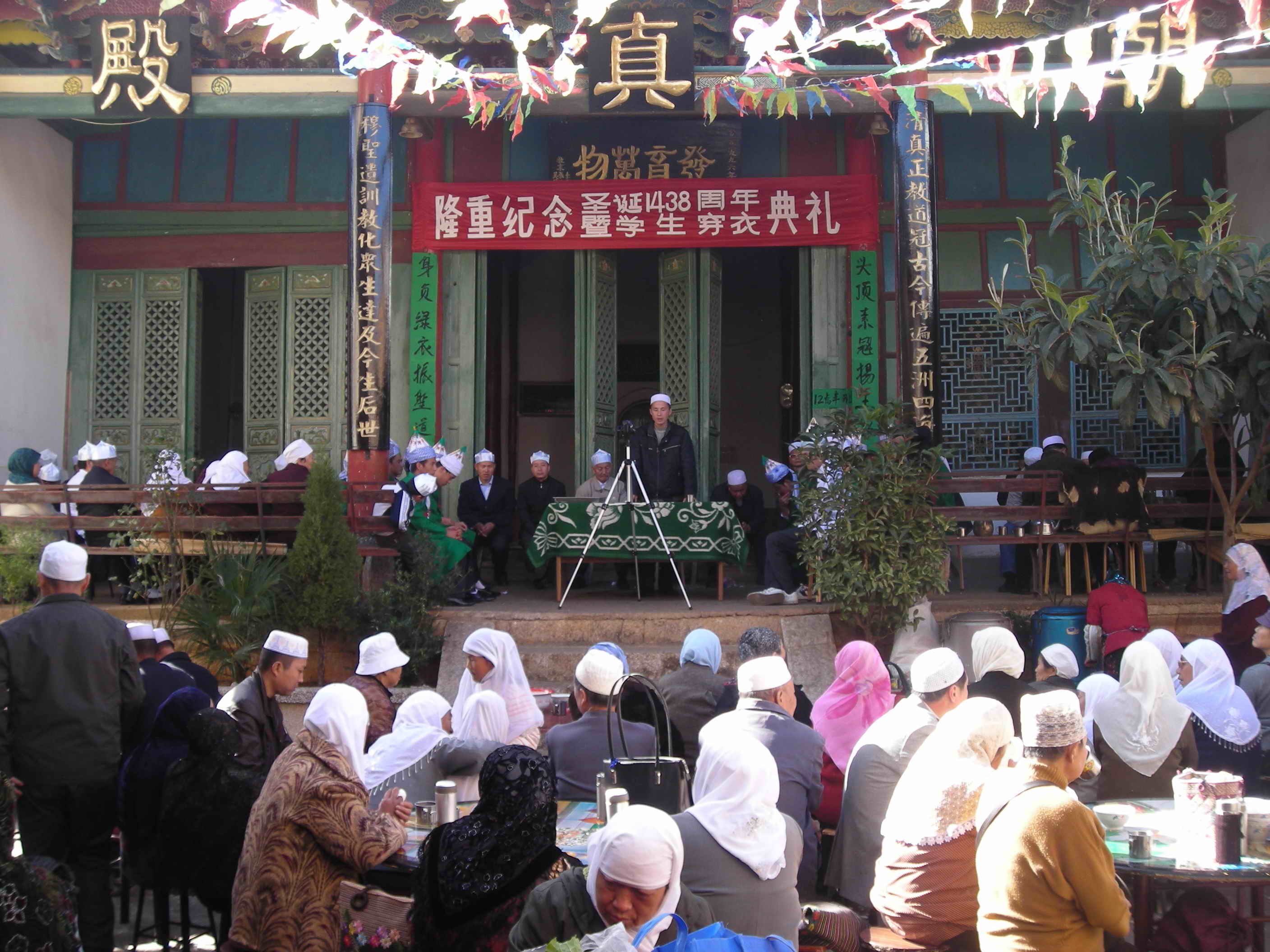 DSCN5231.jpg