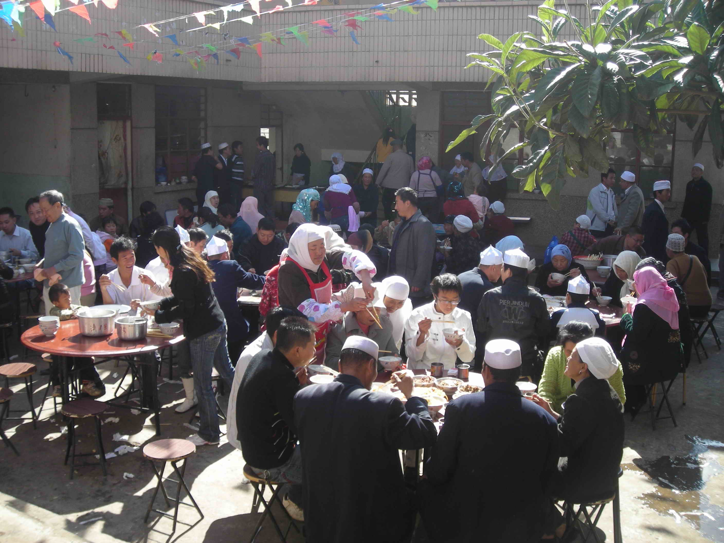 DSCN5126.jpg
