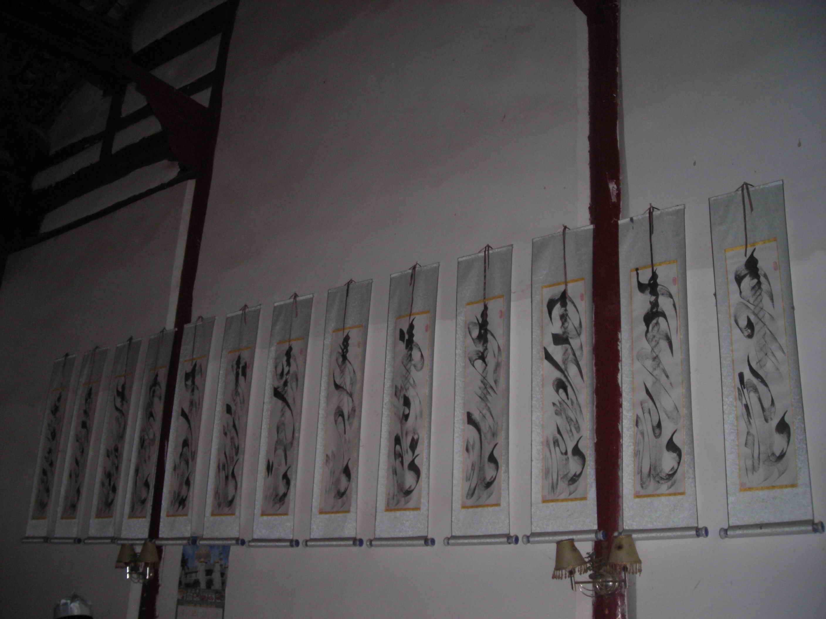 DSCN5134.jpg
