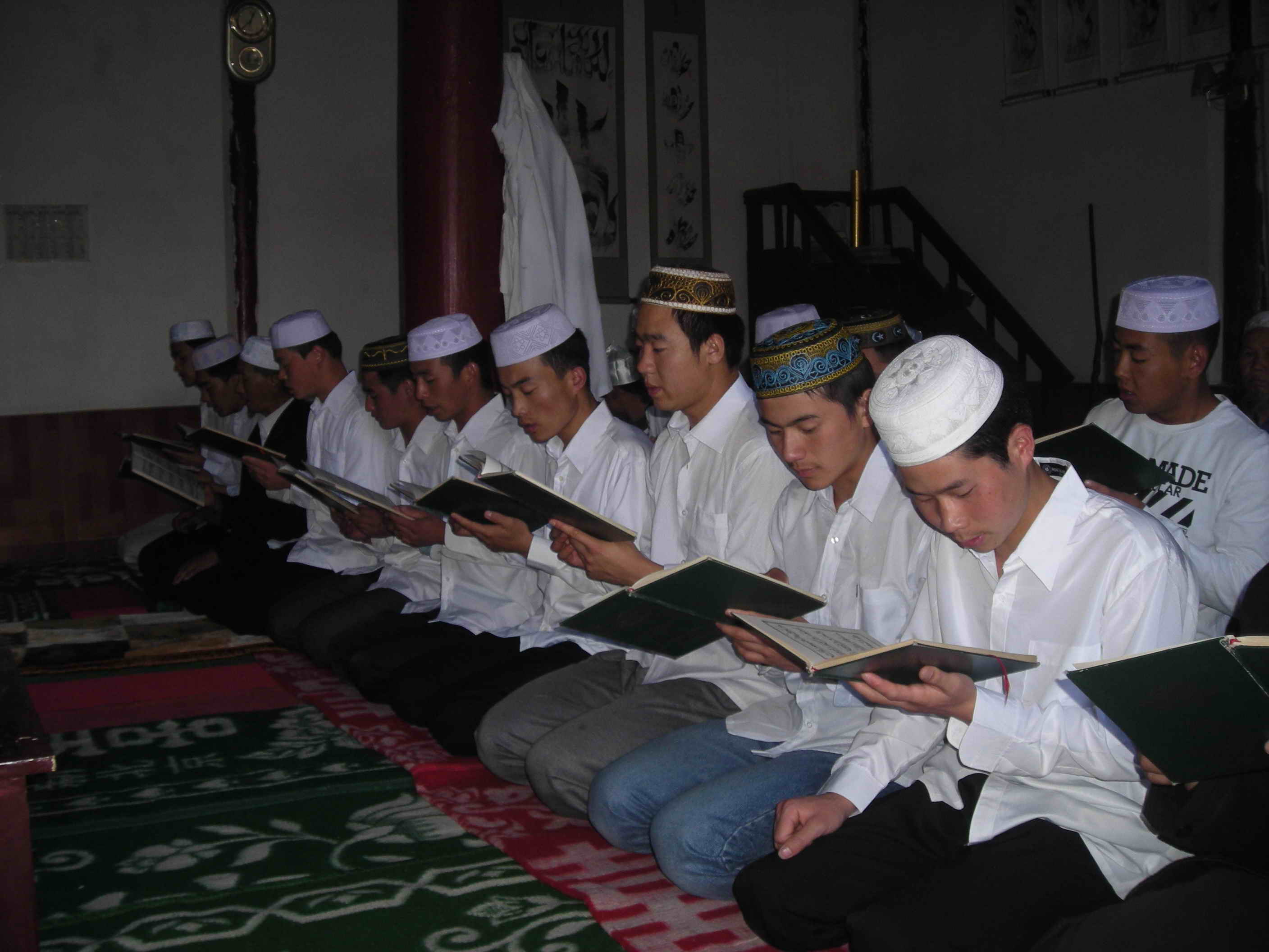 DSCN5141.jpg
