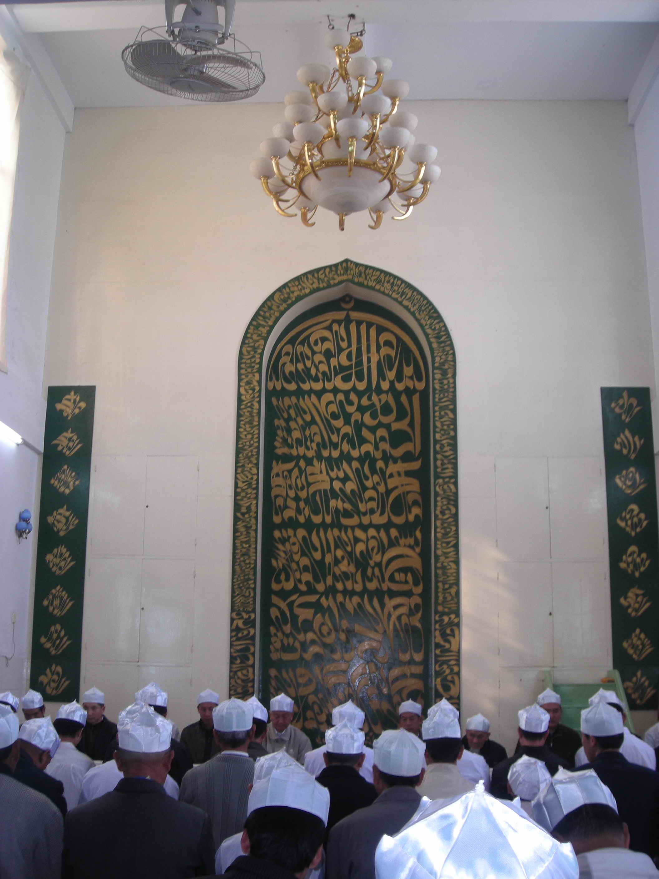 DSCN5272.jpg