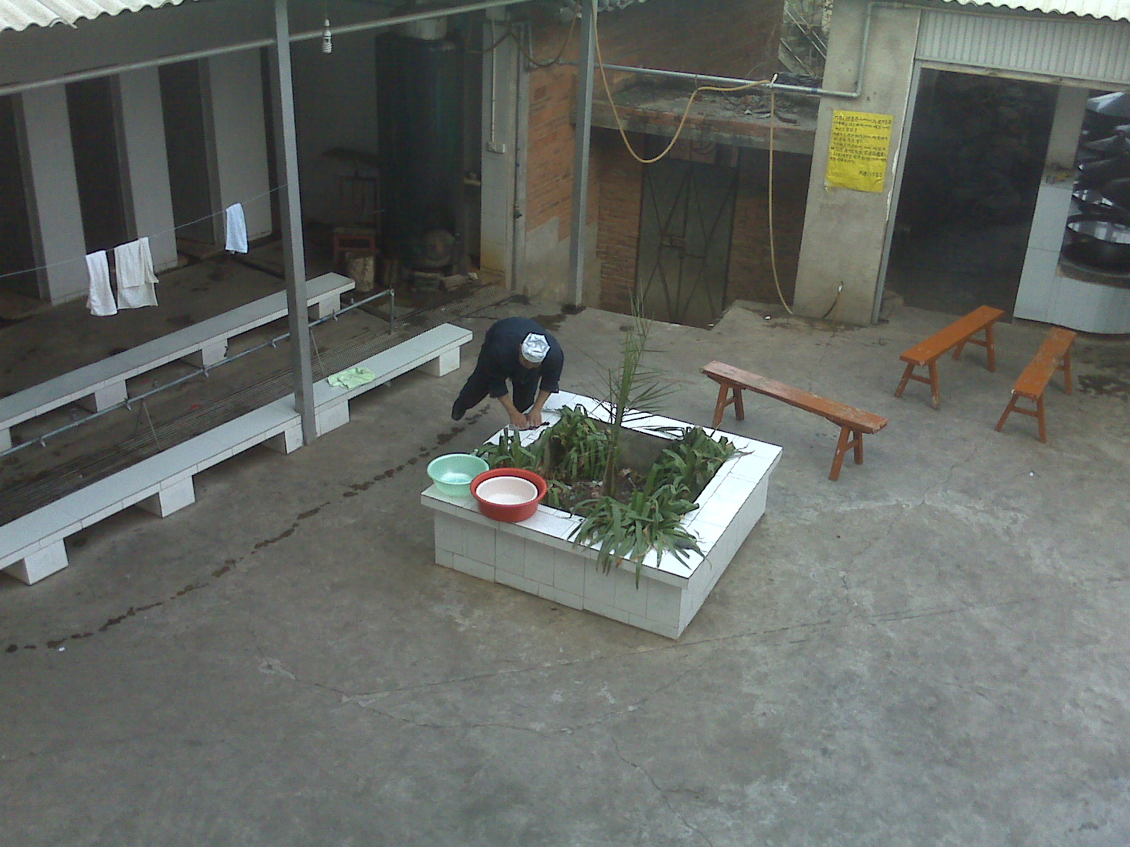 IMG00024.jpg