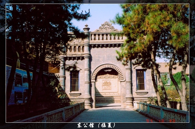 031.jpg