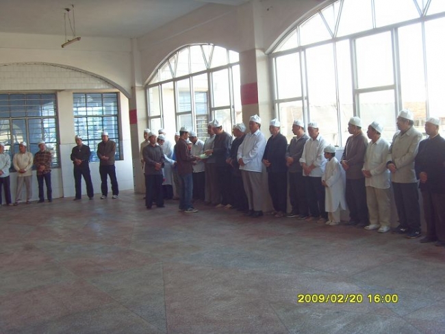 SDC11667.JPG
