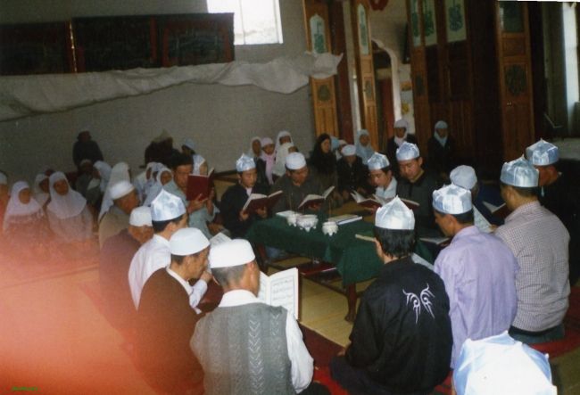 File0072.jpg