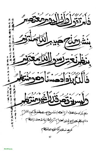 097a.JPG