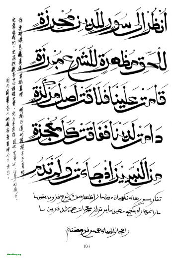 101a.JPG