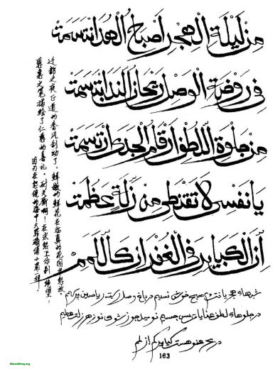 163a.JPG