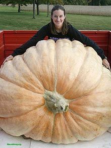 20091008000447_1.jpg