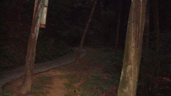 DSC02307.JPG
