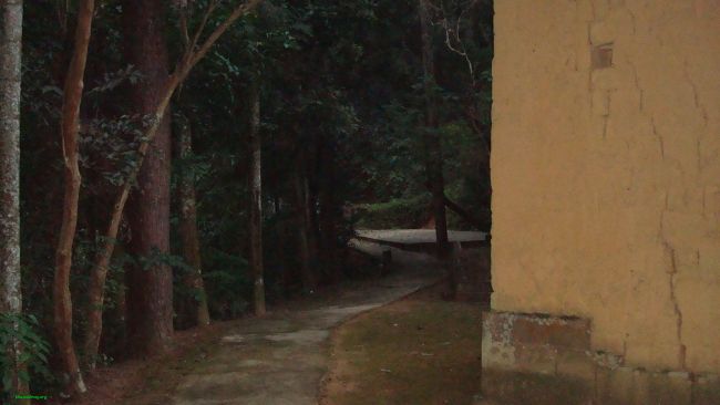 DSC02306.JPG