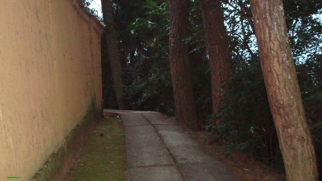DSC02305.JPG