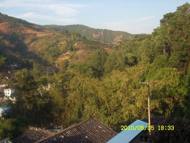 SL731121.JPG