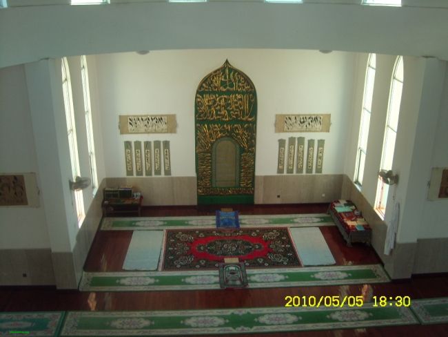 SL731115.JPG