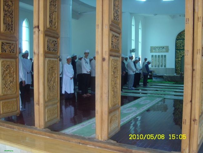 SL731223.JPG