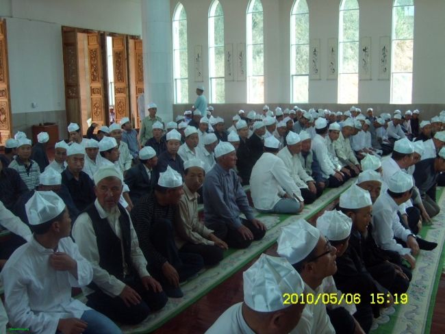 SL731229.JPG