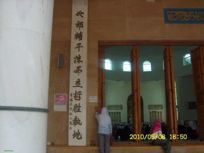 SL731296.JPG