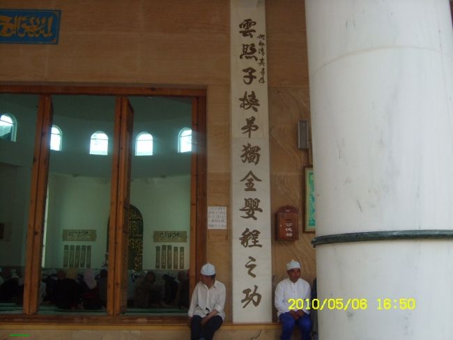 SL731295.JPG