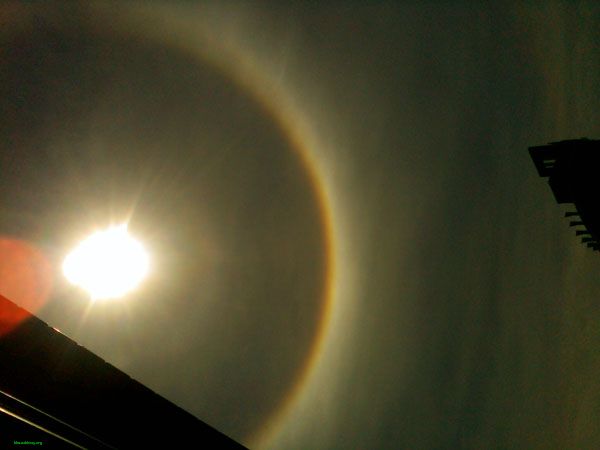 2010520113428306.jpg