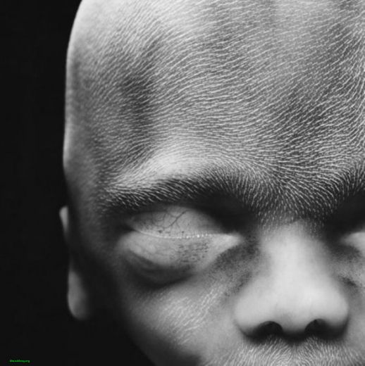 2010080809543095.jpg