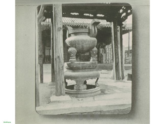 OP_001561.jpg