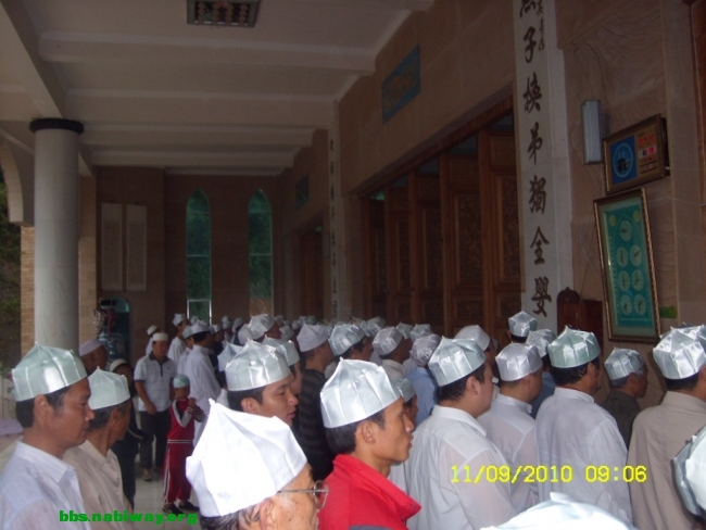 SL732142.JPG