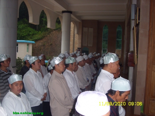 SL732143.JPG