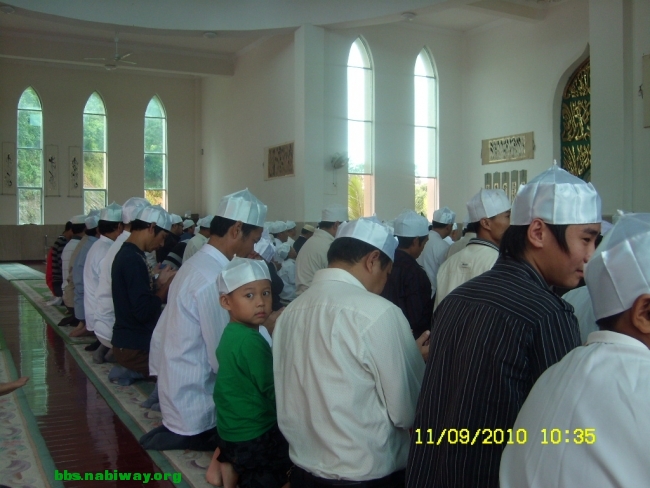 SL732153.JPG