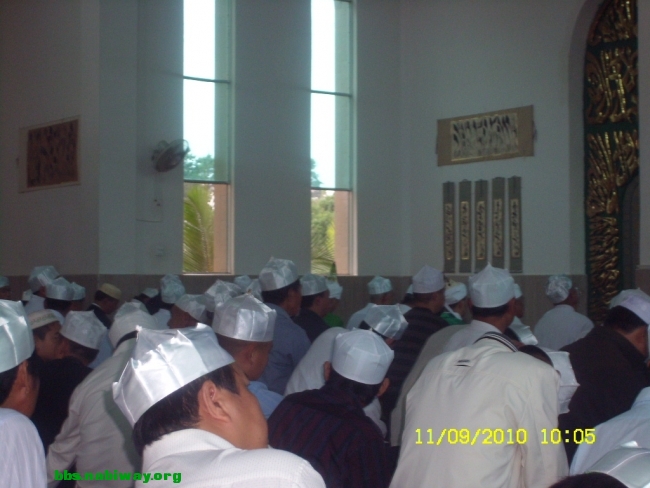 SL732151.JPG