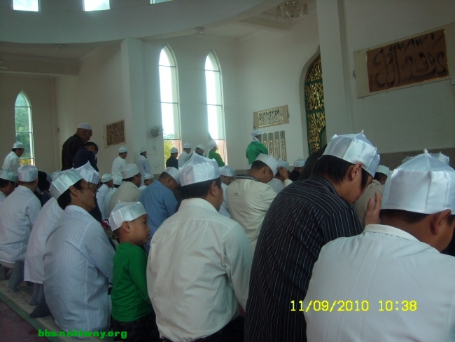 SL732156.JPG