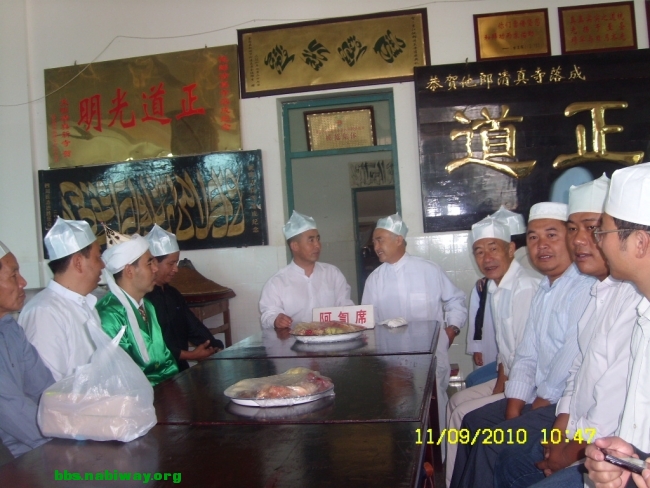 SL732160.JPG