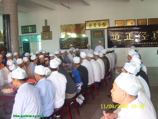 SL732165.JPG