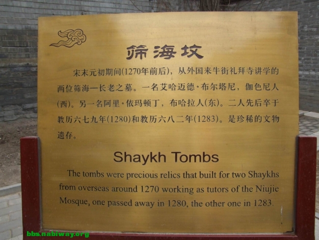 DSCF0879.JPG