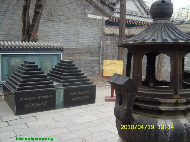 SL730991.JPG