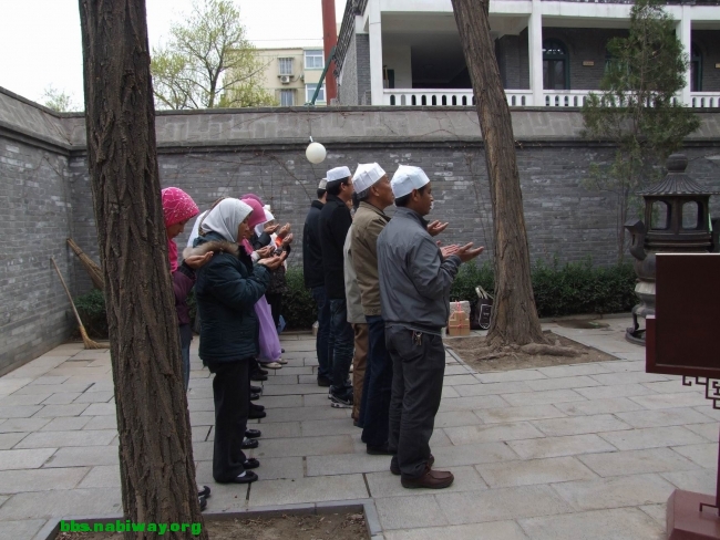 DSCF0906.JPG
