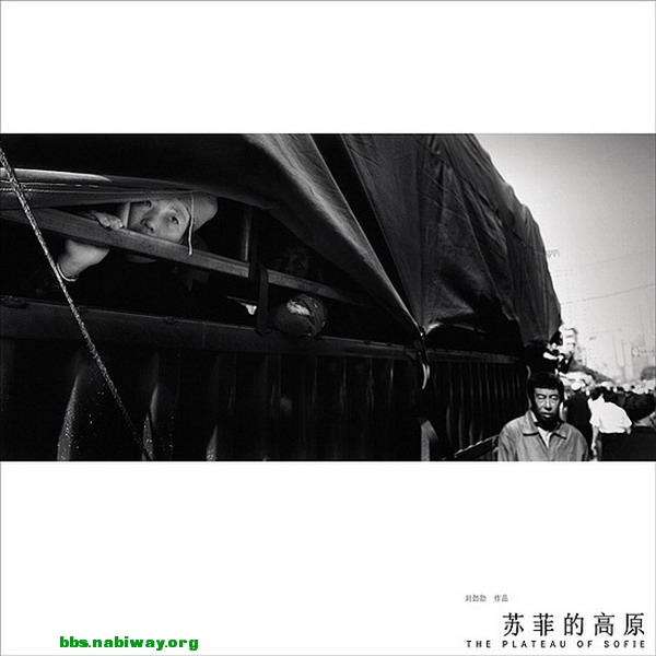 20091223063515445.jpg
