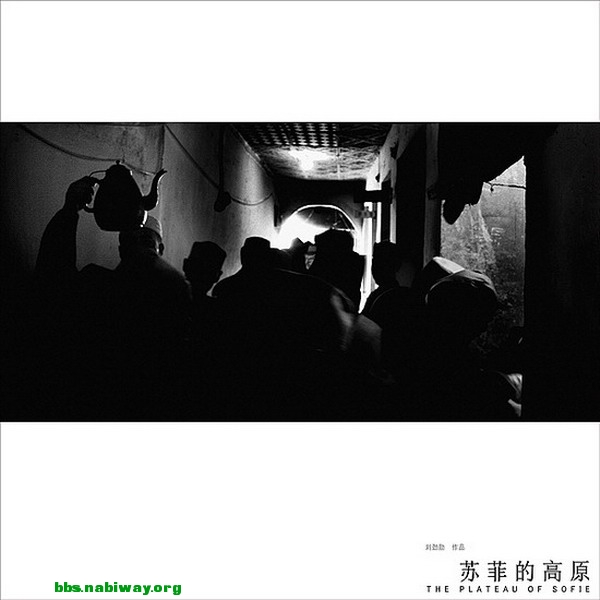 20091223064237152.jpg