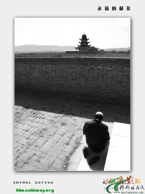20100327040157174.jpg